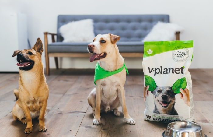 V-planet to launch vegan dog food products in Japan